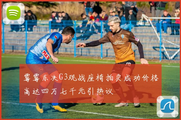 霉霉东决G3观战座椅拍卖成功价格高达四万七千元引热议