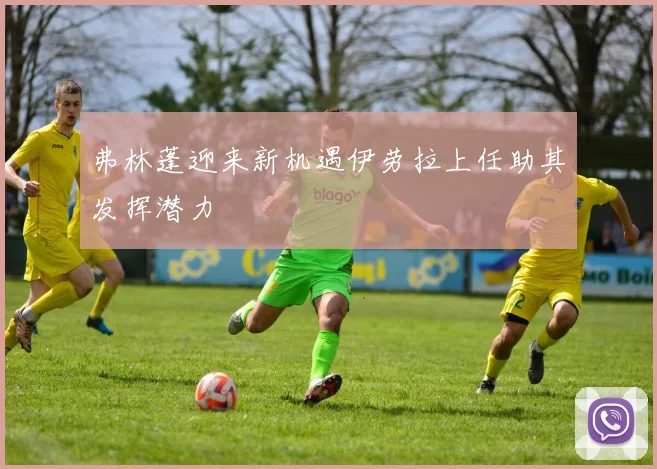 弗林蓬迎来新机遇伊劳拉上任助其发挥潜力